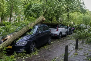 Tak valt op geparkeerde auto's in Apeldoorn